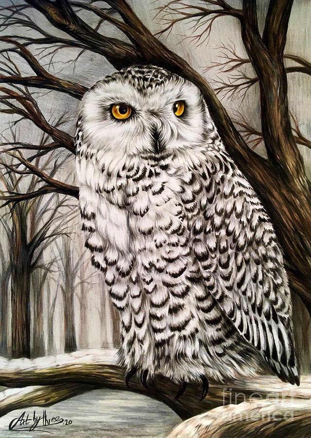 Bird Drawing - Snowy Owl by Art By Three Sarah Rebekah Rachel White