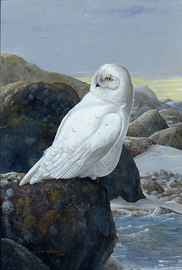Snowy Owl Painting by Barry Kent MacKay