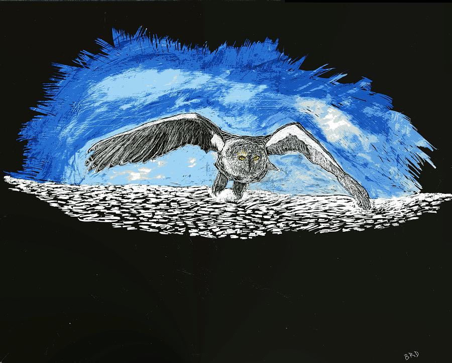 Snowy Owl Drawing by Branwen Drew