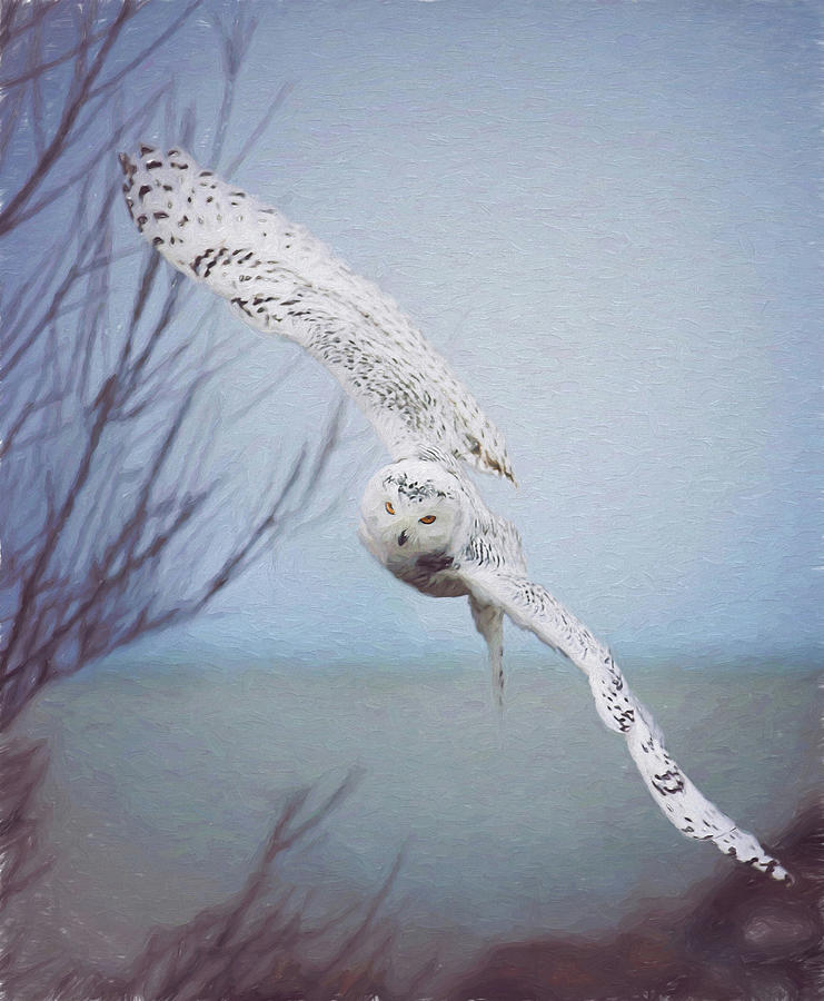 Snowy Owl In Flight Painting 1 Photograph by Carrie Ann Grippo-Pike