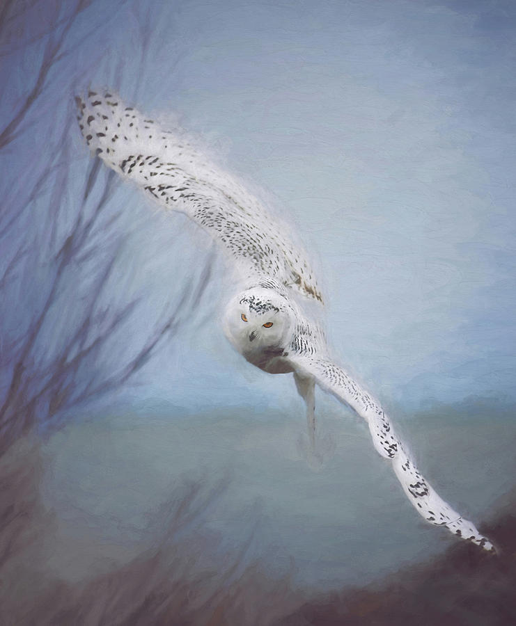 Snowy Owl In Flight Painting 2 Photograph by Carrie Ann Grippo-Pike