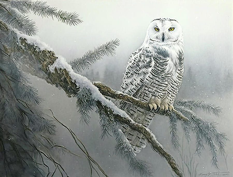 Snowy owl in mountain mist Digital Art by Brian Tarr