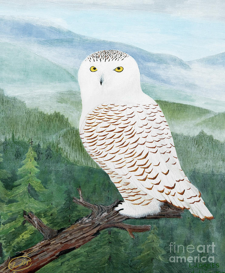 Snowy Owl Painting by L J Oakes