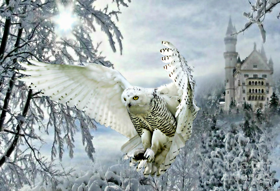Snowy Owl Mixed Media by Morag Bates