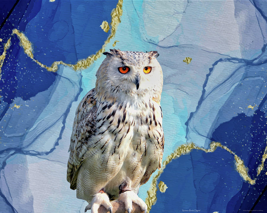 Snowy Owl Digital Art by Norman Brule