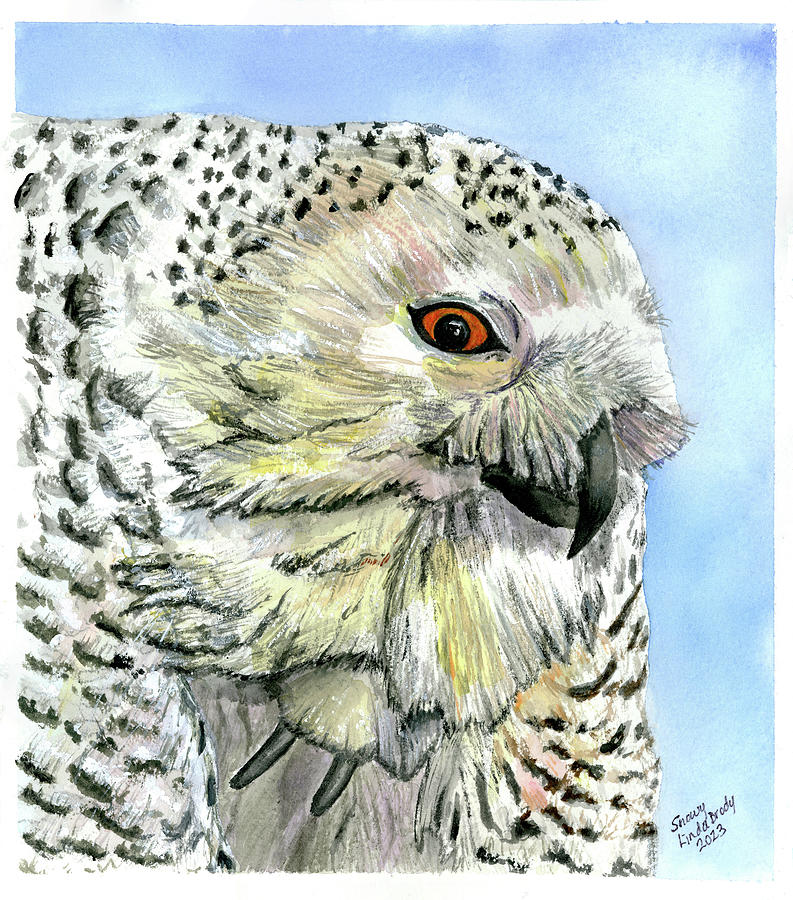 Snowy Owl Portrait Painting by Linda Brody