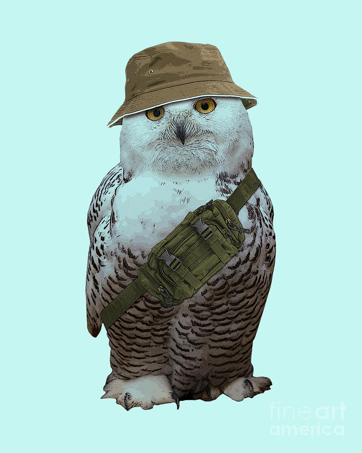 Owl Digital Art - Snowy owl portrait by Madame Memento