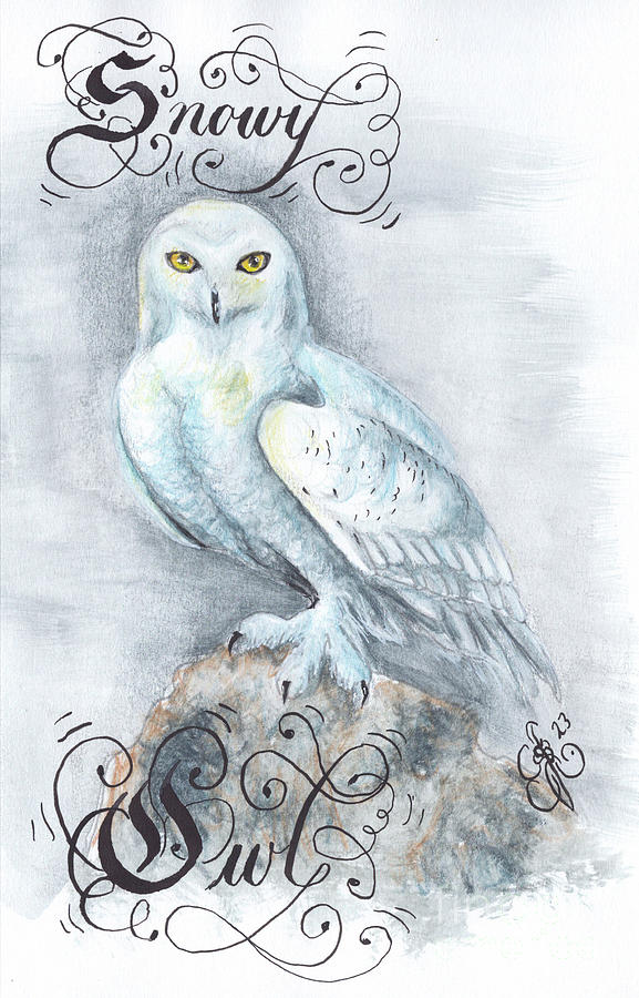 Snowy Owl Drawing by Scarlett Royale