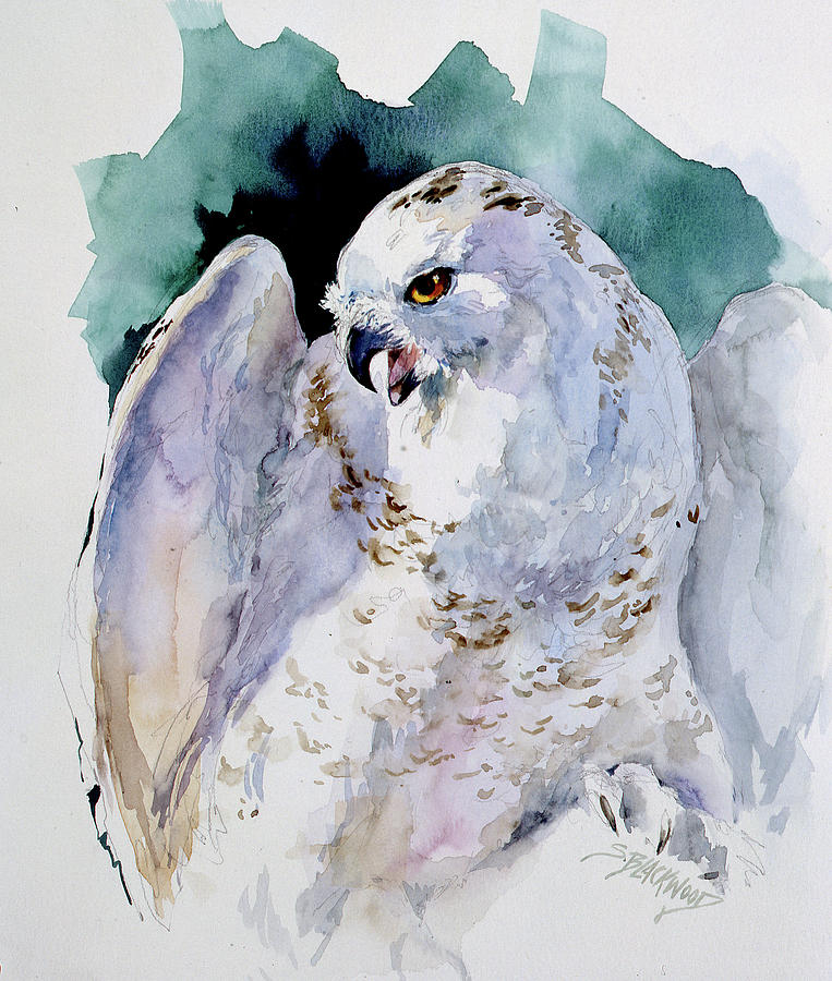 Snowy Owl Painting by Susan Blackwood