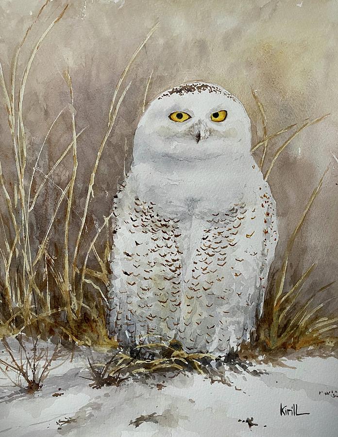 Snowy Owl Watercolor Painting Painting by Always Wandering Art - Fine ...