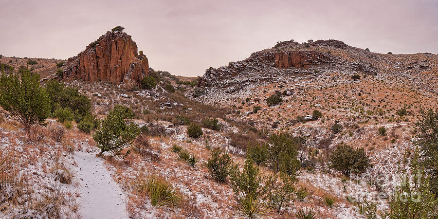 Snowy Paradise At Davis Mountains State Park - Indian Lodge Trail - Jeff Davis County West Texas Photograph