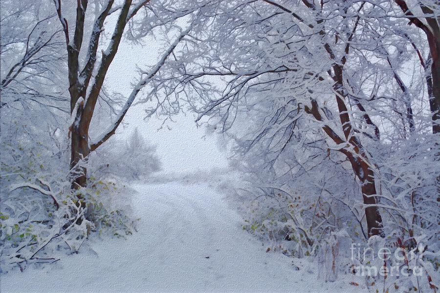 Snowy Path Digital Art by Sarah Marie - Fine Art America