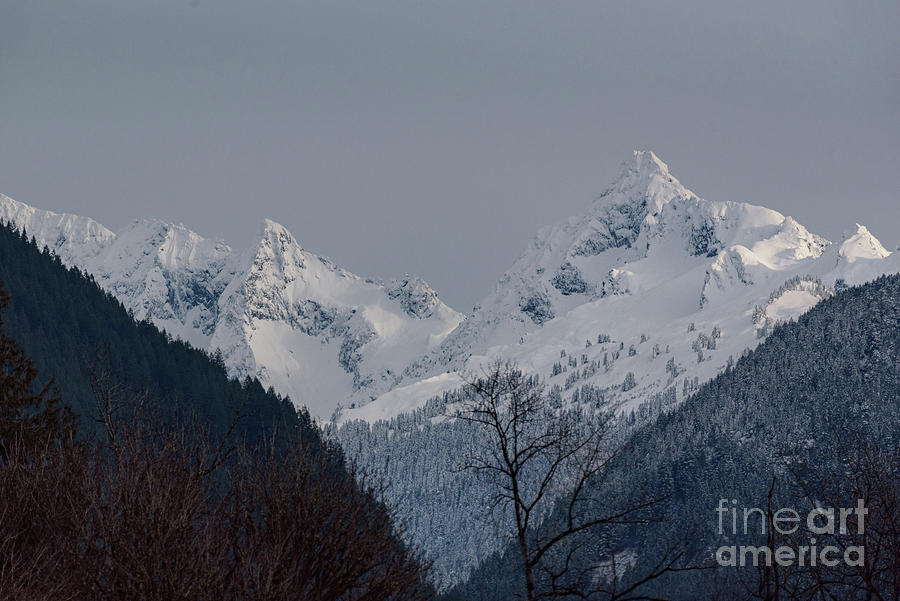 Winter Photograph - Snowy Peaks in the North Cascades by Nancy Gleason