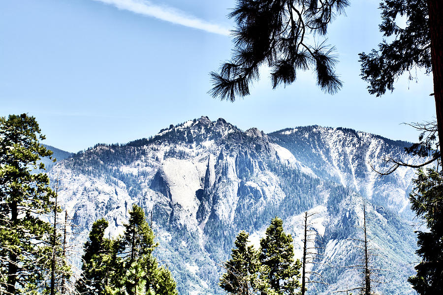 Snowy Peaks of Sierra Nevada in Sequoia National Park, California Photograph by Ruth Hager