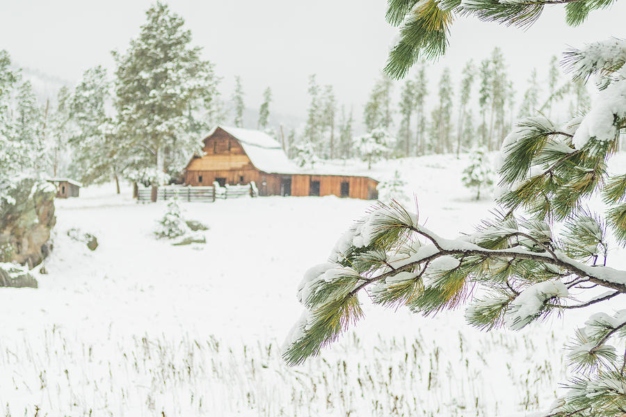 Winter Photograph - Snowy Ranch by Mike Ste Marie
