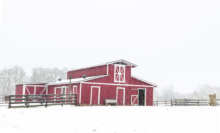 Snowy Red Barn Photograph by Debbie Karnes