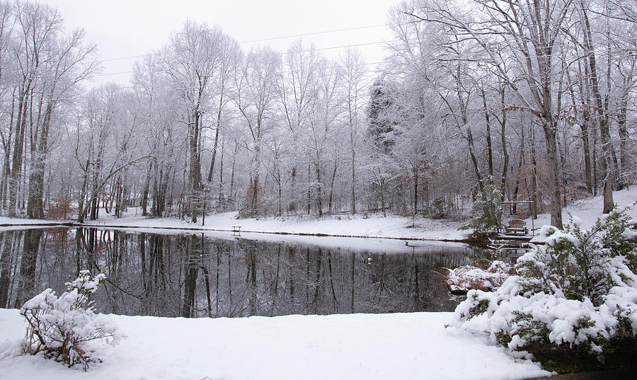 Snowy Reflection Photograph by Debbie Karnes
