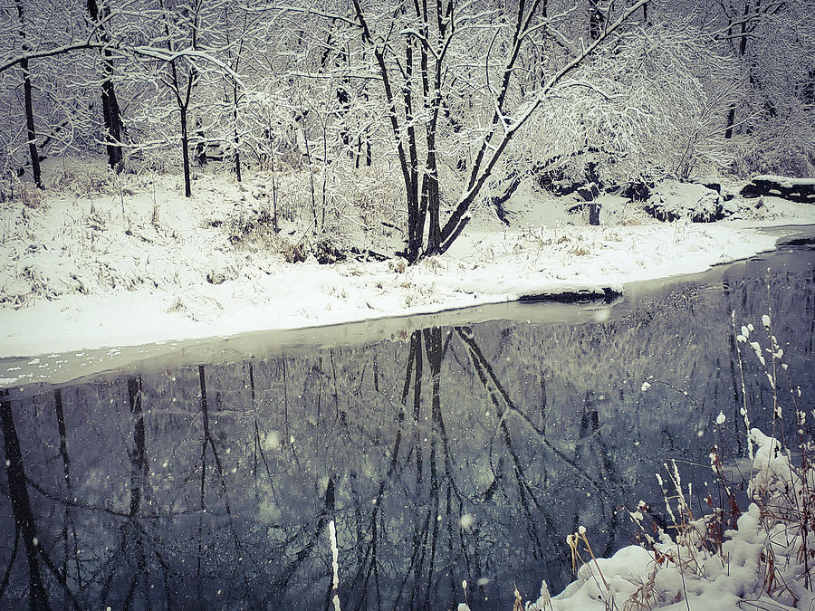 Snowy Reflections Photograph by Andrea Whitaker