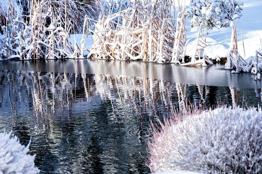 Snowy Reflections Photograph by Jerry Sodorff