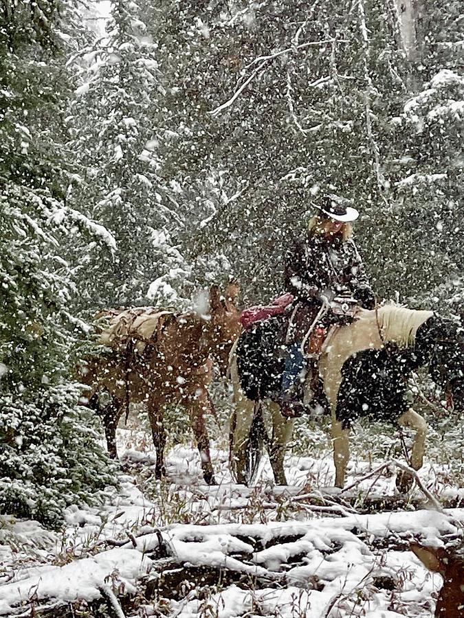 Snowy Ride Photograph by Jeff Macklin - Fine Art America