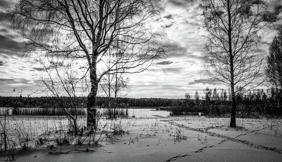Snowy Riverside in Latvia  Photograph by Aleksandrs Drozdovs