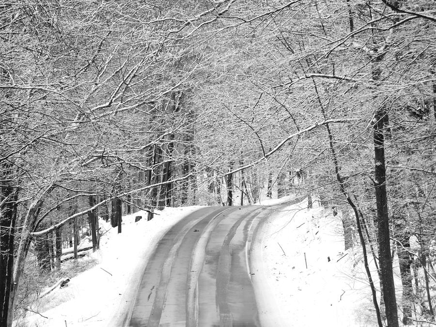 Snowy Road Photograph by Living Color Photography Lorraine Lynch