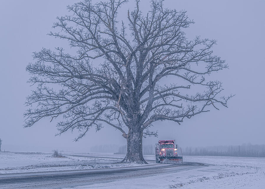 Snowy scene with large old bur oak tree during snow blizzard in rural Missouri, Midwest; snowplow with turned on headlights approaching the tree Photograph by Lana2011 Snowy scene with large old bur oak tree during snow blizzard in rural Missouri, Midwest; snowplow with turned on headlights approaching the tree Photograph by Lana2011