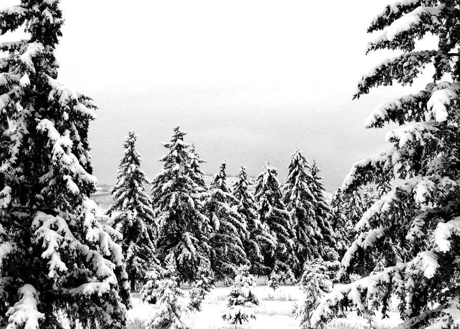 Snowy Shangri-la  Photograph by Will Borden