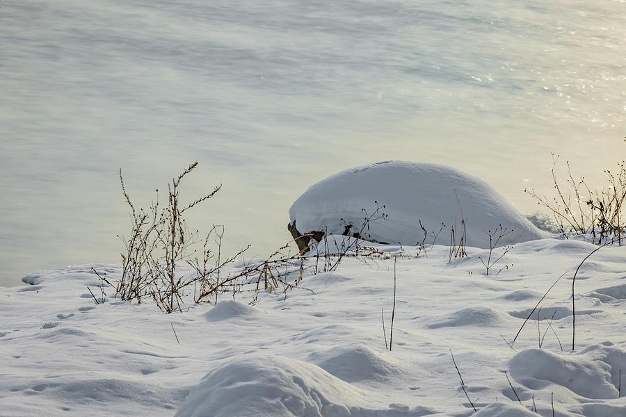 Snowy Shoreline Photograph by Ray Congrove