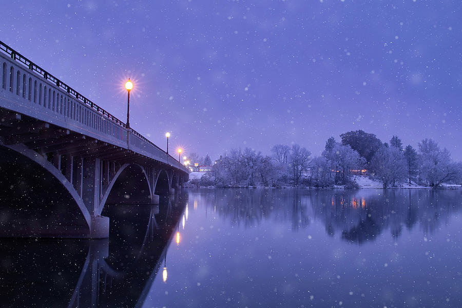 Snowy Stillness Photograph by Lynn Hopwood