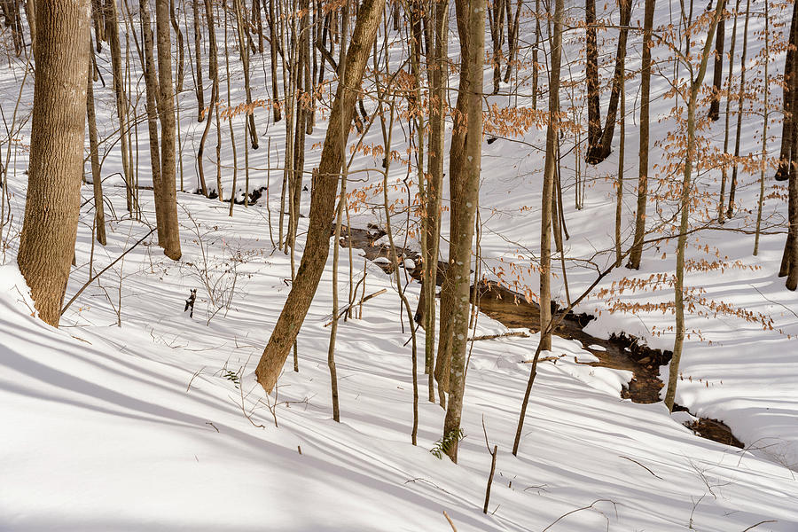 Snowy Stream in Winter 2 Photograph by Joni Eskridge