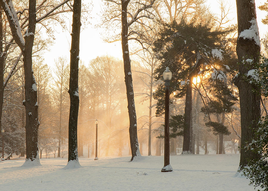 Snowy Sunrise in Tower Grove Park  Photograph by Scott Rackers