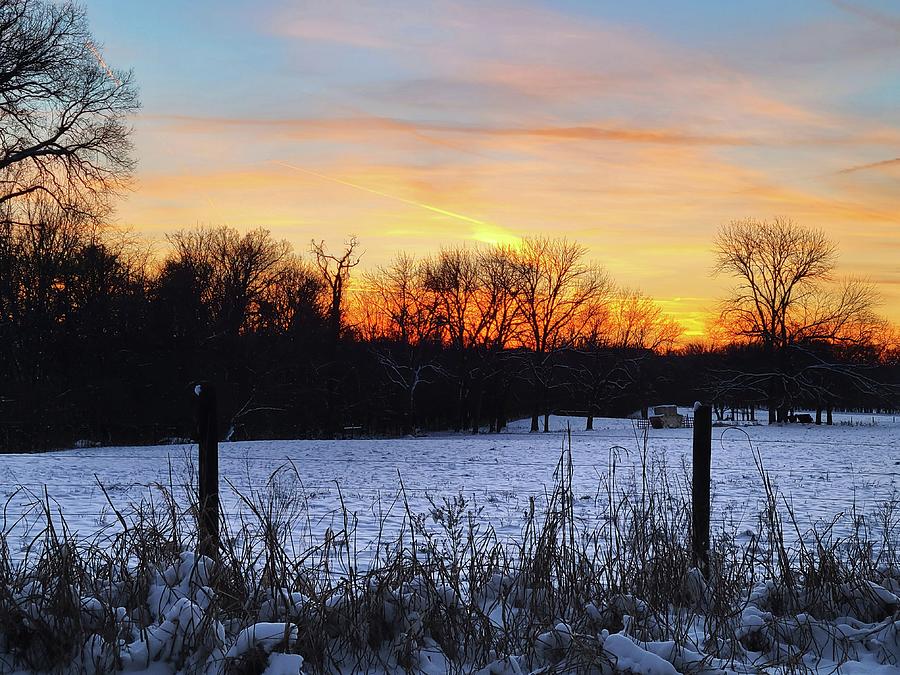 Snowy Sunset Photograph by Ally White