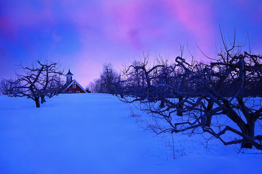 Snowy Sunset Over The Orchard - Hollis, NH Photograph by Joann Vitali