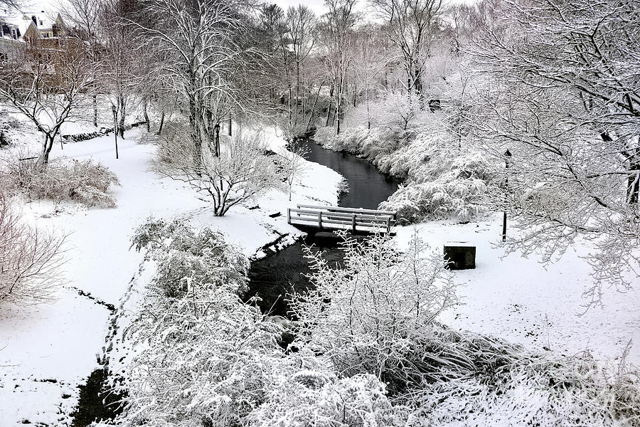 Snowy Town Brook Photograph by Janice Drew