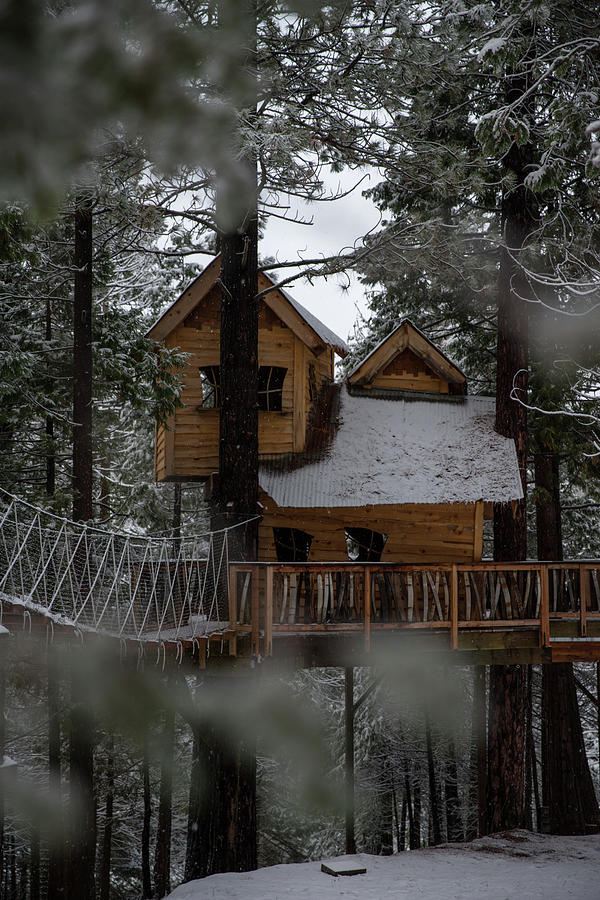 Snowy Tree House Photograph
