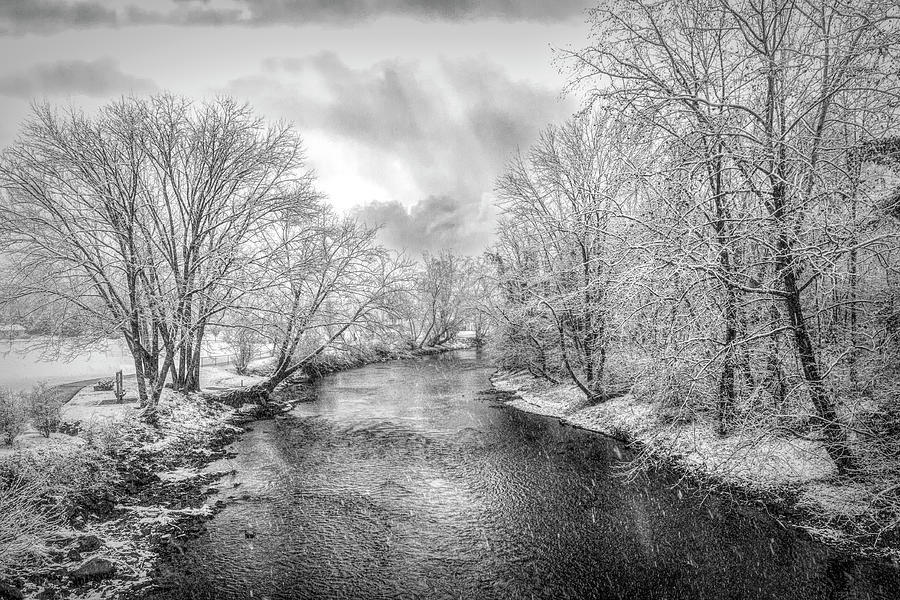 Snowy Trees along the River Black and White Photograph by Debra and Dave Vanderlaan