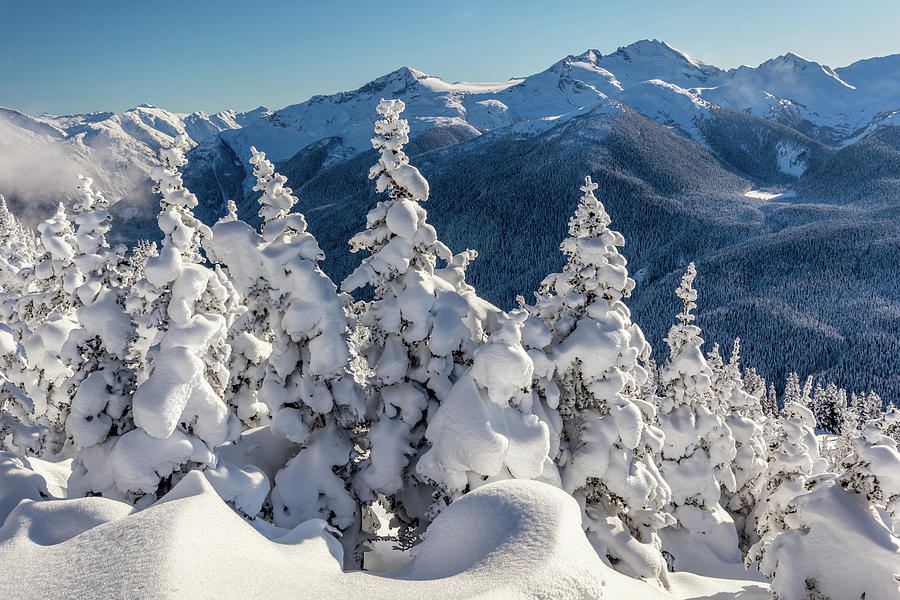 Snowy Trees On The Mountains Photograph