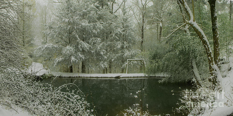 Snowy Trout Pond Photograph by Barbara Bowen