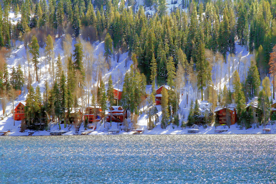 Snowy Village Photograph by Donna Kennedy