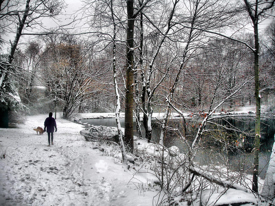 Snowy Walk by the Pond Photograph by Russel Considine