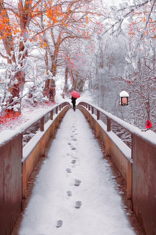 Snowy Walk Painting Photograph by Debra and Dave Vanderlaan