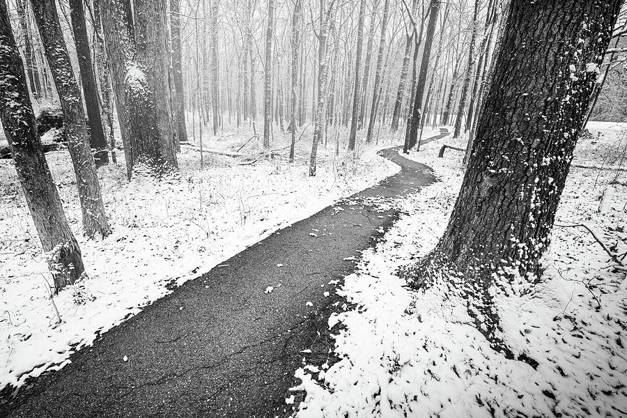 Snowy Winter Day In Black And White Photograph by Jordan Hill