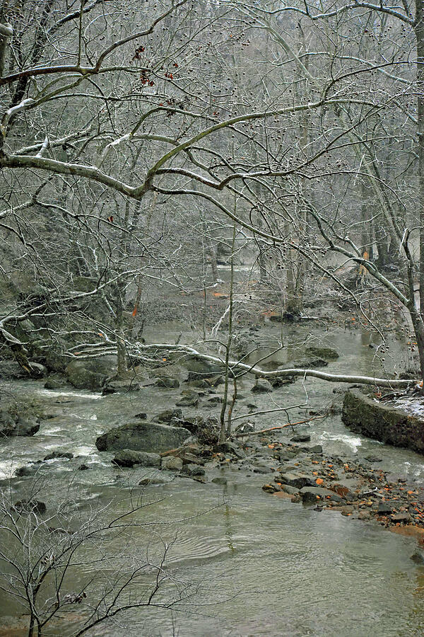 Snowy Winter Day Photograph by Roberta Byram Snowy Winter Day Photograph by Roberta Byram