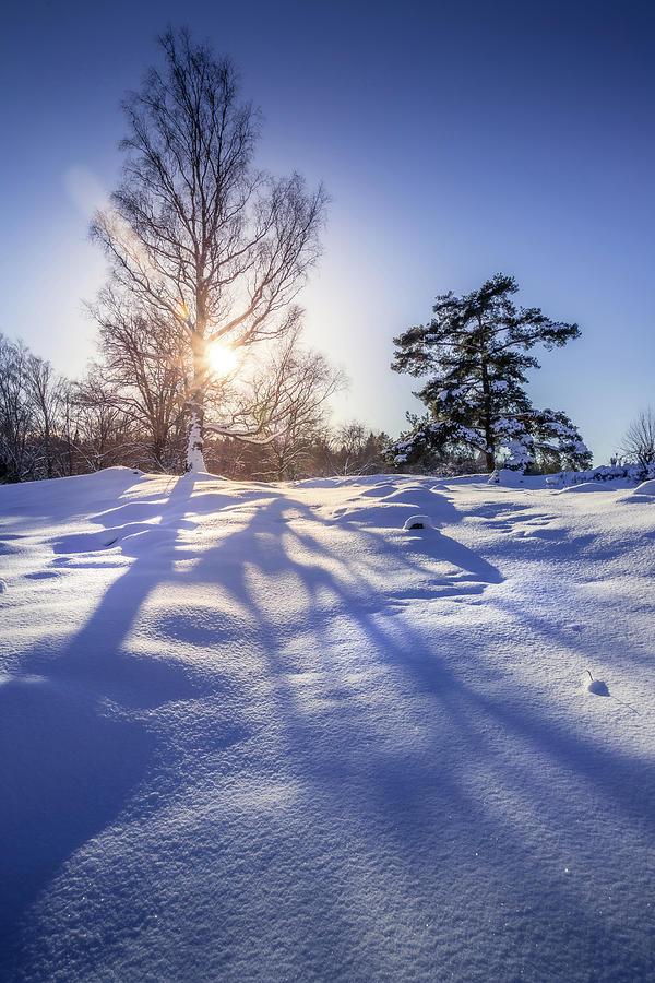 Winter Photograph - Snowy Winter Landscape by Nicklas Gustafsson