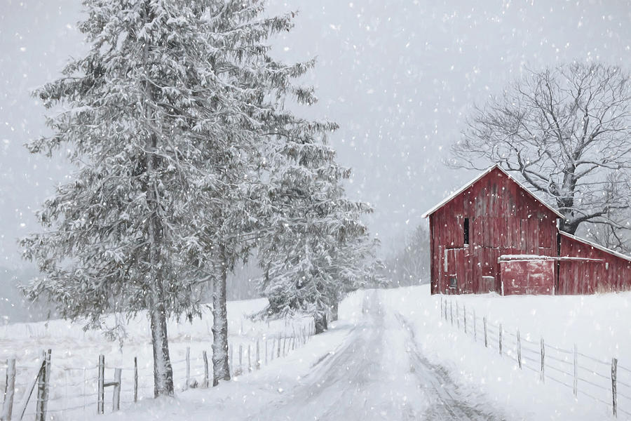 Snowy Winter Lane Mixed Media by Lori Deiter