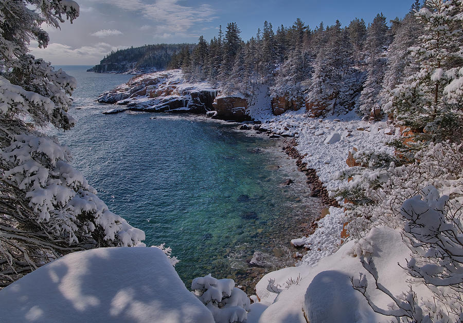 Snowy Winter Morning In Acadia Photograph by Stephen Vecchiotti