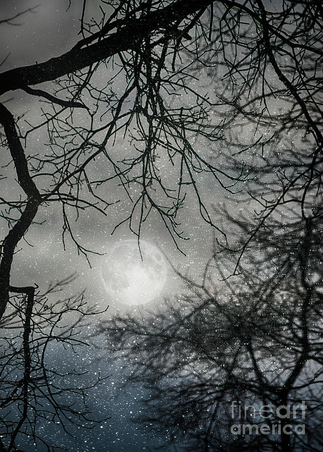 Snowy Winter Ohio Moon Photograph