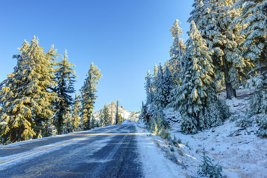 Snowy winter road Photograph by Aiisha5