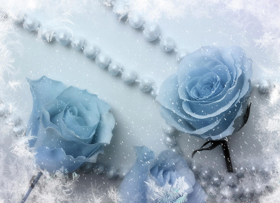 Snowy Winter Roses And Pearls  Mixed Media by Johanna Hurmerinta